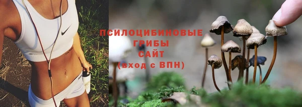 кокаин колумбия Краснослободск