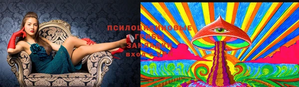кокаин колумбия Краснослободск