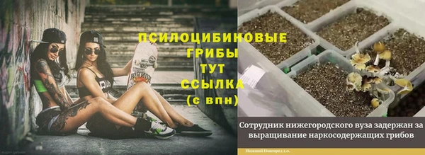 кокаин колумбия Краснослободск